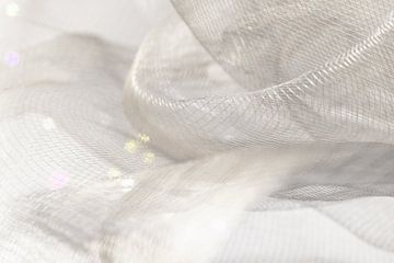 Delicate, lineaire eenvoud: macrostructuur van een draadnetwerk van Mixed media vector arts