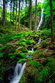Cascade de Burgbach avec ruisseau