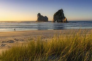 Wharariki Beach (Zuidereiland, Nieuw-Zeeland) van Niko Kersting