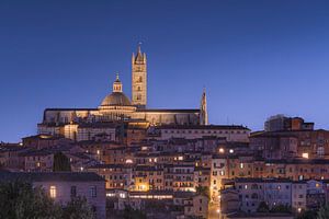 Blaue Stunde über dem Dom von Siena