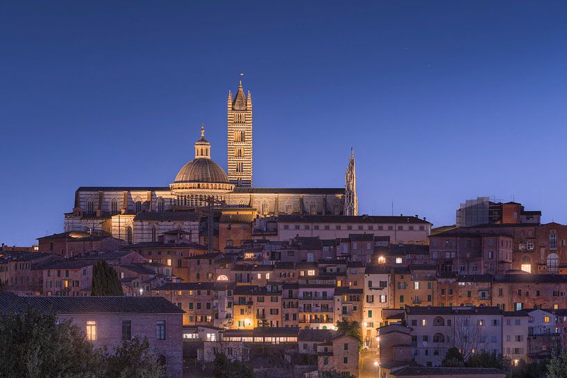 Blue hour over Siena Cathedral by Stefano Orazzini