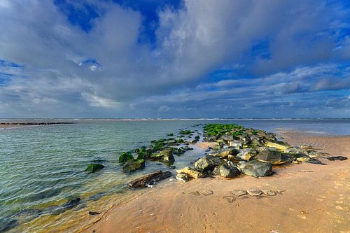 Rochers dans la mer.