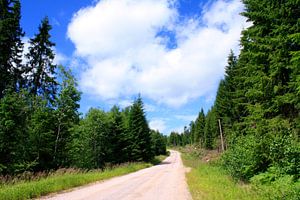 Onderweg in Zweden