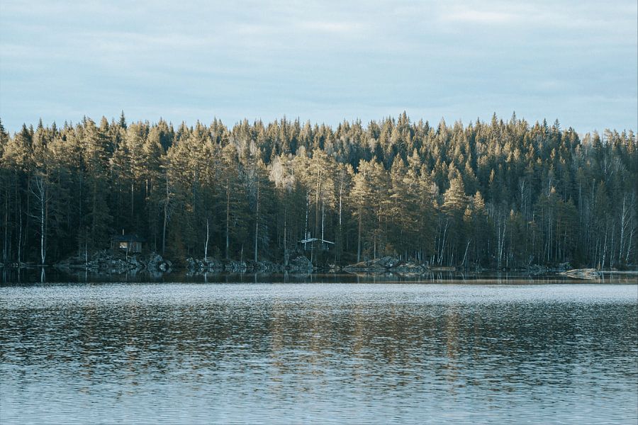 Houten hutten aan de rand van een bos bij een meer in Zweden van Joep