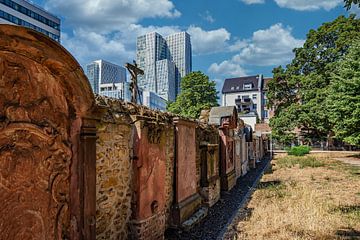 Historisches Frankfurt von Thomas Riess