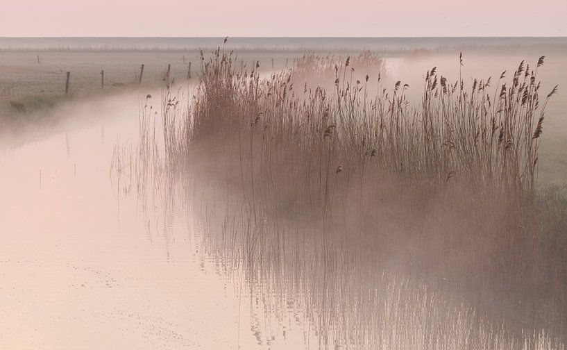 Ochtendmist in de polder van Art Wittingen