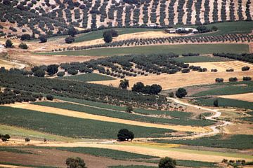 Lappendeken in Andalusië van Jan Katuin