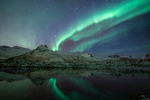 Nordlicht über den Lofoten in Norwegen