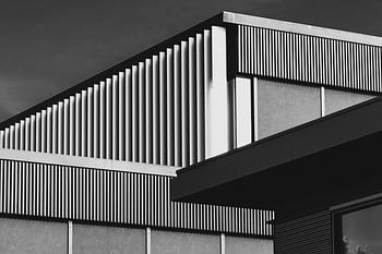 Lines and planes in black and white