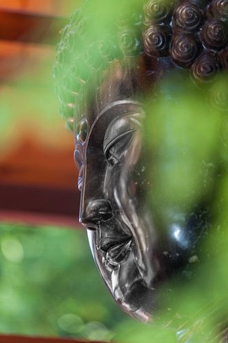 Hands of Buddha
