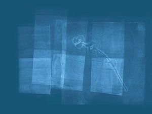 Minimalistische abstrakte Pflanzenkunst in Blau. Zarte Blätter.