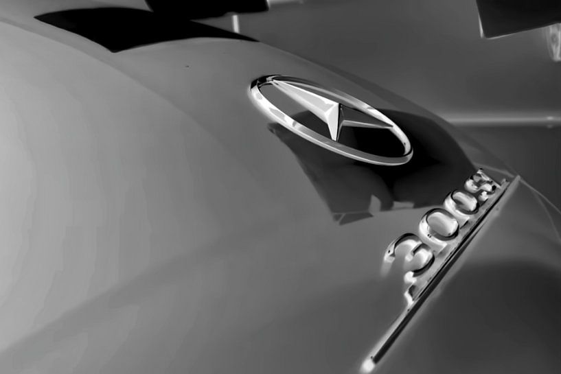 Mercedes Gullwing Monochrome by Truckpowerr