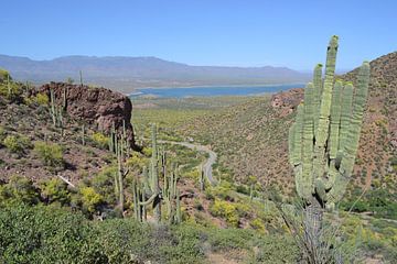 Tonto National Park , Arizona van Bernard van Zwol