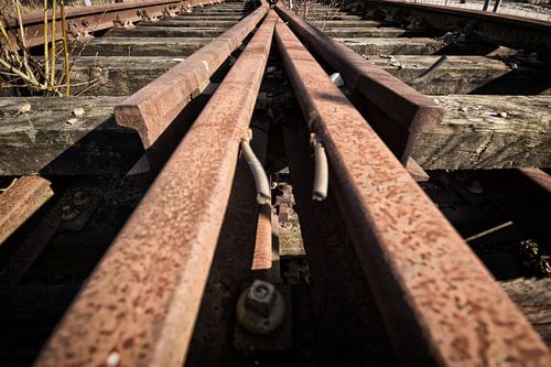 Spoor close up van John Monster