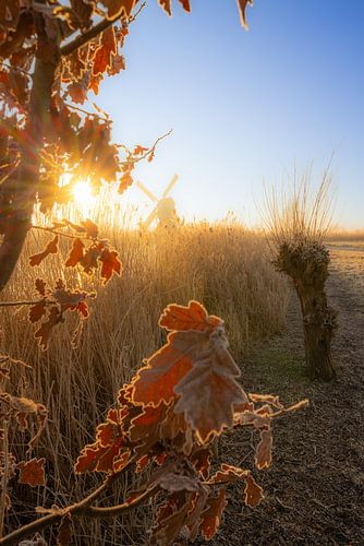 Zonsopkomst over een warm winter landschap in de polder
