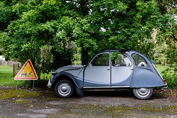 Citroen 2 CV in Marciac van Evert Jan Luchies