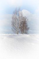 In de winter