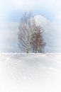 In de winter von Alied Kreijkes-van De Belt Miniaturansicht