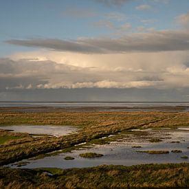 Low afternoon sun over Groningen's salt marshes by Bo Scheeringa Photography