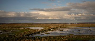 Low afternoon sun over Groningen's salt marshes