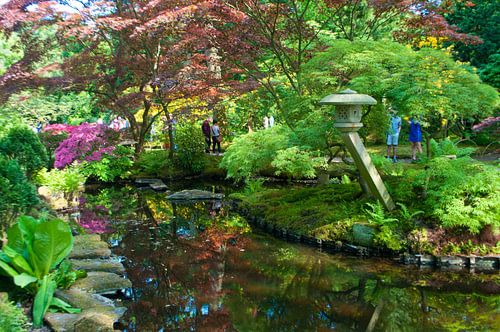 Japanese garden at the Clingendael estate