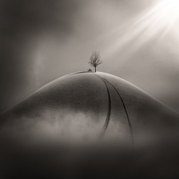 Beachten Sie mich von Hadi Malijani