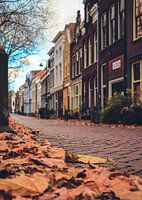 Rue d'automne accueillante à Gouda