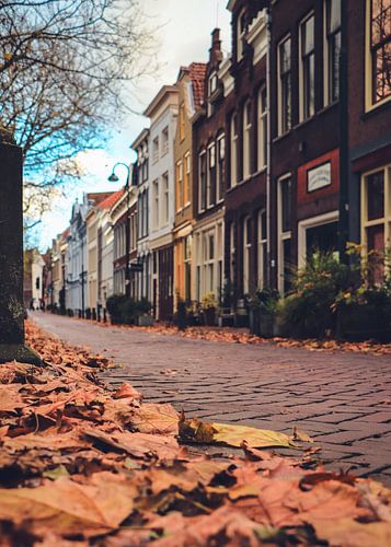 Gemütliche Herbststraße in Gouda