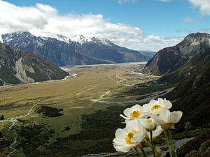 Mount Cook van Gert-Jan Siesling