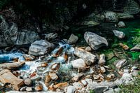 Rock and Water