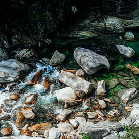 La roche et l'eau sur Maaike Faas