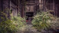 Abandoned nature