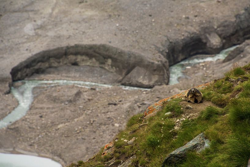 Alpenbeobachter von Beeldspraak