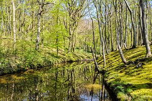 Frühling am Hochufer bei Lietzow