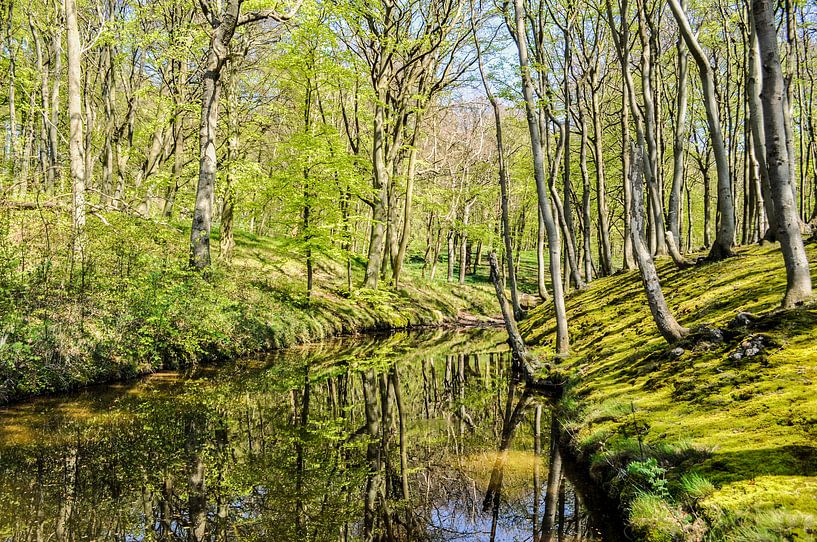 Lente op de hoge oever bij Lietzow van GH Foto & Artdesign