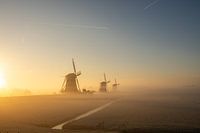 3 Mühlen im Nebel
