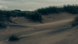 Stille im Wind von ReBlick