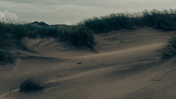 Le silence dans le vent