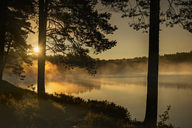 Sonnenaufgang über dem See.