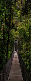 Costa Rica – wo Natur, Abenteuer und pure Schönheit aufeinander treffen
