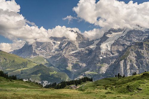 Eiger, Mönch en Jungfrau genomen vanaf Mürren, Zwitserland