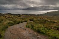 Sandweg zum alten Mann von Storr auf der Insel Skye in Schottland von Anges van der Logt Miniaturansicht