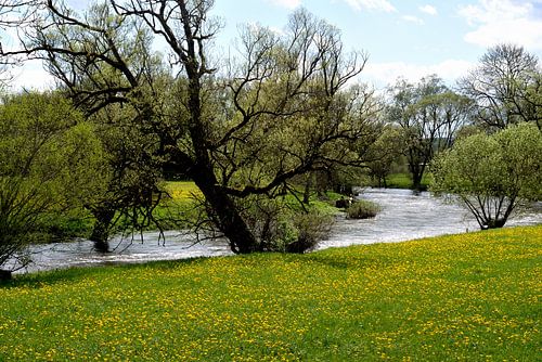 above the Danube at high water