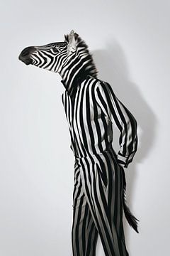 Fashion Zebra sur Jonas Loose