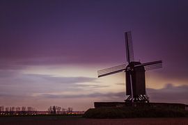 Schietsjampettermolen, Kruisem van Vincent Cockaert