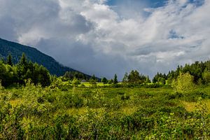 Wandeling rond de Wildsee van Oliver Hlavaty