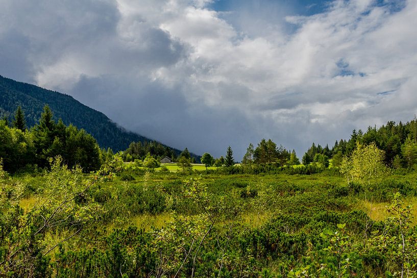 Walk around the Wildsee by Oliver Hlavaty