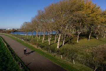 Cyclist explores Bath's Bend by Geert Van Baelen