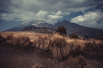 Vulkaanlandschap in Mexico van Anahi Clemens