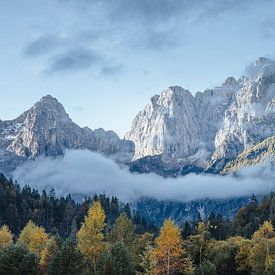 Berglandscahp Kranjska Gora Herfst II | Slovenië van Daan Duvillier | Regio in de Kijker